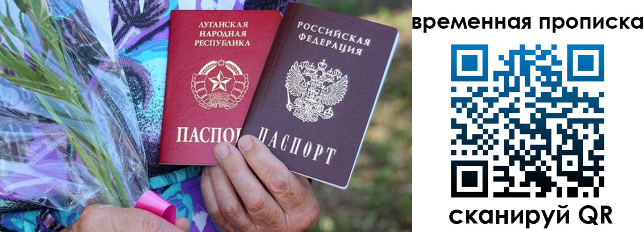 купить прописку в Мончегорске