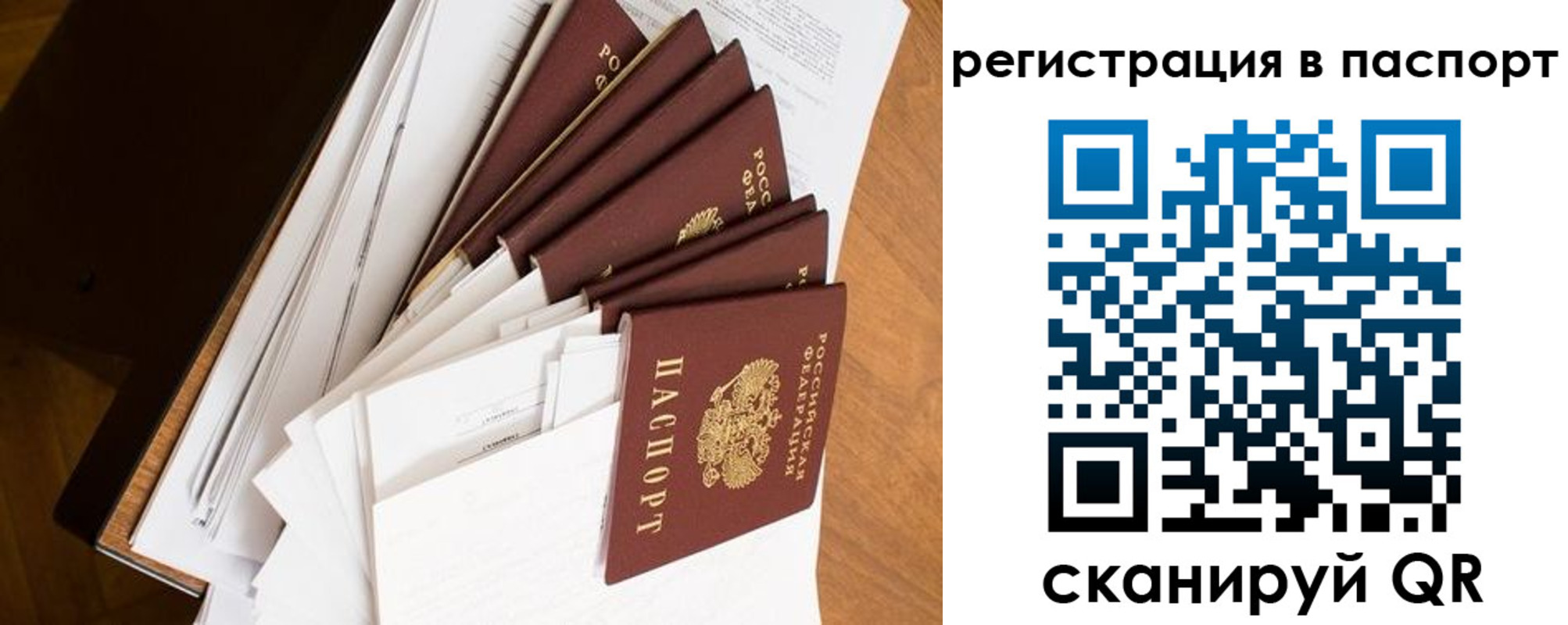 временная регистрация собственник в Мончегорске