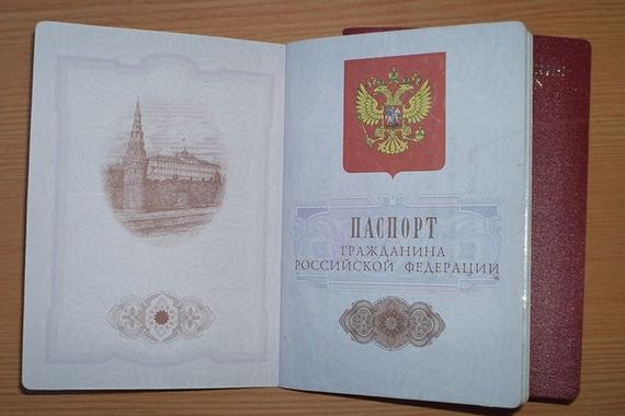 прописка в Мончегорске